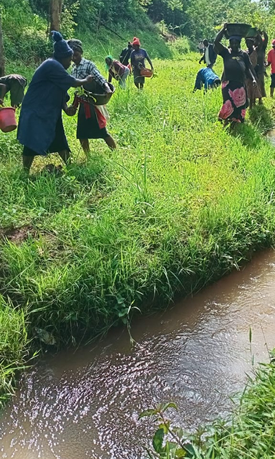 Planting assorted indigenious tress along river Firatsi in Butere of Kakamega county (Photo credit: Zablon Indakwa) Planting assorted indigenious tress along river Firatsi in Butere of Kakamega county (Photo credit: Zablon Indakwa).