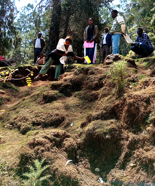 Hazardous, steep paths that women must navigate daily, often in pre-dawn hours to reach the lower stream beds. Guje Wereda, 24 January 2026.